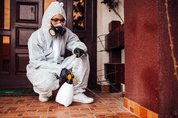Reliable Cockroach Control contractor in Reidsville, NC by Nex Pest Control
