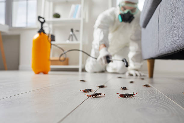 Trusted Termite Control service in Reidsville, NC - Nex Pest Control