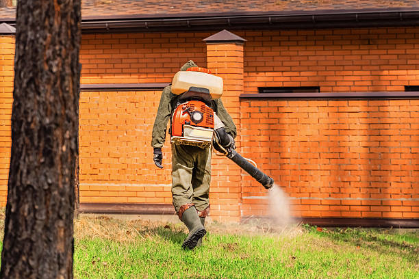 Trusted Cockroach Control service in Reidsville, NC - Nex Pest Control